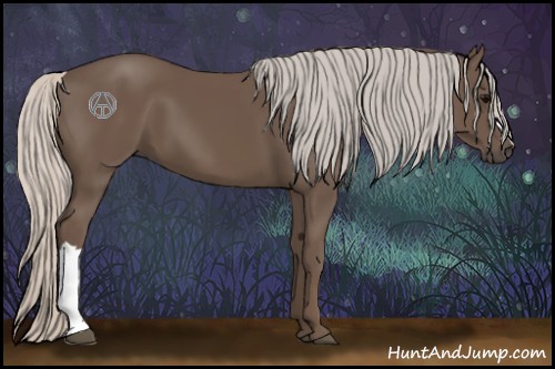 Horse Color:Silver Black