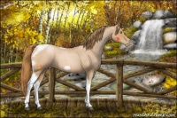 Horse Color:Red Roan Pearl Tobiano Frame 