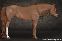 Horse Color:Red Roan 