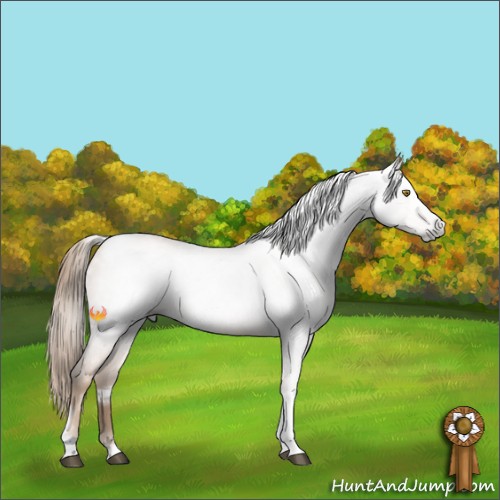 Horse Color:Gray Red Roan Pearl Tobiano Frame 