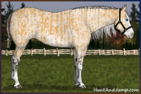 Horse Color:Buckskin Splash  and Cremello Splash Frame 