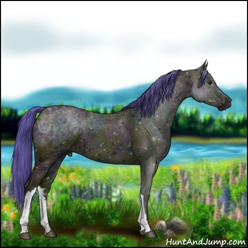 Horse Color:Watercolor Midnight Bay Ice Onyx