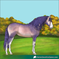 Horse Color:Watercolor Bay Onyx 