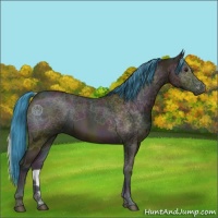Horse Color:Watercolor Midnight Bay Ice Onyx 