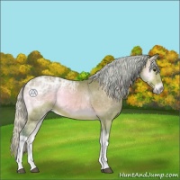 Horse Color:Watercolor Silver Bay Ice Onyx 