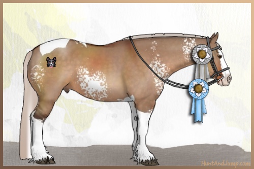 Horse Color:White Spotted Silver Brown Dun Splash Tobiano 