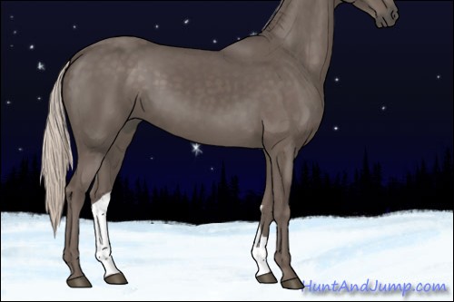 Horse Color:Silver Black 