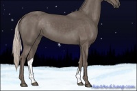 Horse Color:Silver Black 