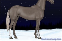 Horse Color:Silver Black 