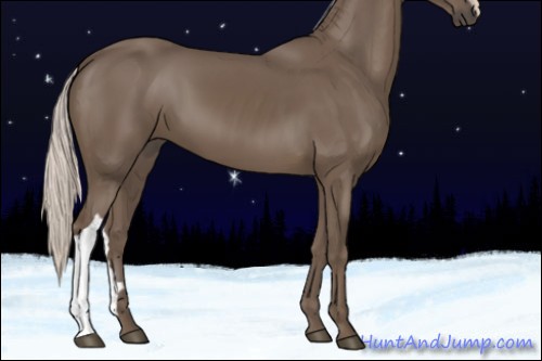 Horse Color:Silver Black