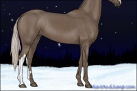 Horse Color:Silver Black