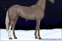 Horse Color:Silver Black 