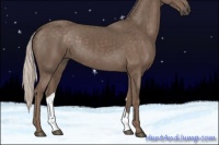 Horse Color:Silver Black 