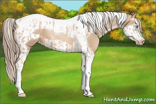 Horse Color:Chocolate Palomino Pearl Tobiano Frame  and Chocolate Palomino Pearl Splash Tobiano Frame 