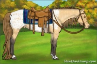 Horse Color:Buckskin Dun Appaloosa  and Buckskin Dun Appaloosa 