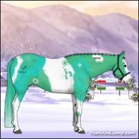 Horse Color:Watercolor Black Splash Tobiano 