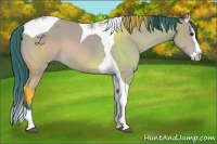 Horse Color:Watercolor Bay Splash Tobiano 