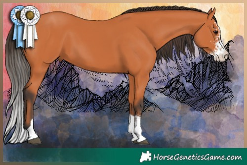 Horse Color:Bay Sabino Tobiano