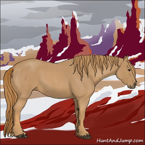 Horse Color:Red Roan 