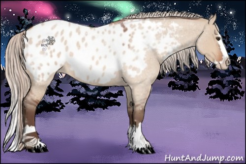 Horse Color:Silver Brown Roan Dun Splash Appaloosa