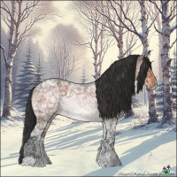 Horse Color:Brown Ice Roan