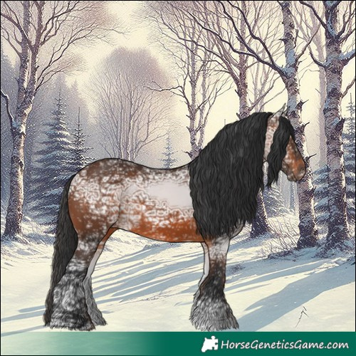 Horse Color:Brown Ice Rabicano 
