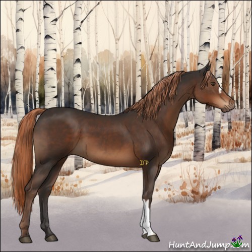 Horse Color:Liver Chestnut 