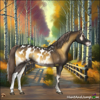 Horse Color:Chocolate Palomino Onyx Appaloosa 