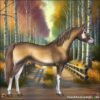 Horse Color:Chocolate Palomino Onyx 