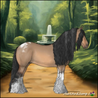 Horse Color:Bay Dun Tobiano Rabicano 