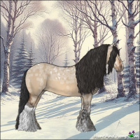 Horse Color:Bay Ice Dun 