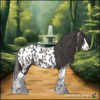 Horse Color:Grullo Sabino Splash Appaloosa 