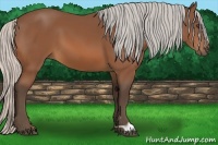 Horse Color:Silver Bay