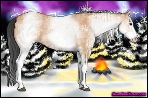 Horse Color:White Spotted Bay Dun Rabicano and White Spotted Bay Dun Rabicano