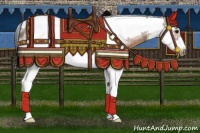 Horse Color:Brown Dun Sabino Splash Tobiano Frame 