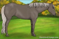 Horse Color:Silver Black 
