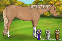 Horse Color:Red Roan 