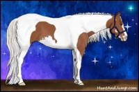 Horse Color:Silver Bay Splash Tobiano Frame