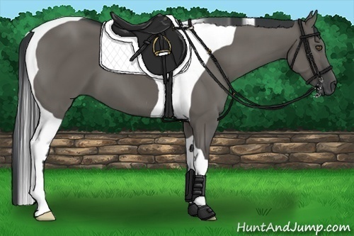 Horse Color:Grullo Tobiano