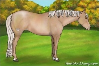 Horse Color:Silver Black Pearl 