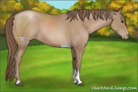 Horse Color:Black Pearl Sabino Tobiano 