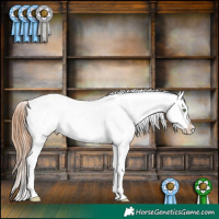 Horse Color:White Spotted Bay Pearl Dun Sabino Varnish 