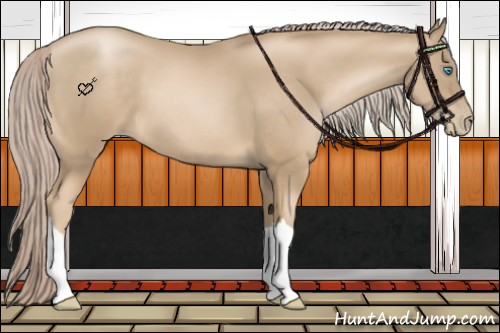 Horse Color:Chocolate Palomino Pearl 