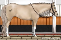 Horse Color:Chocolate Palomino Pearl 