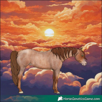 Horse Color:Gray Gold Champagne Roan