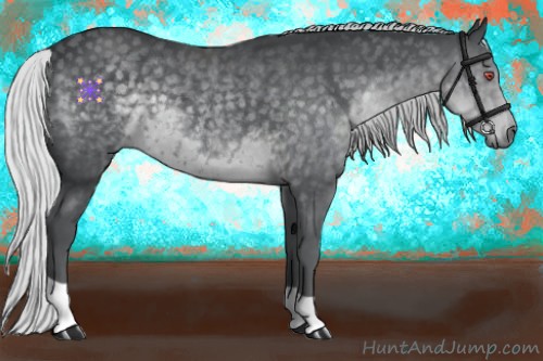 Horse Color:Silver Black Chinchilla 