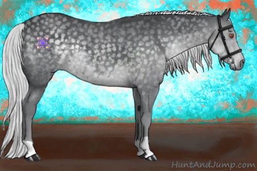 Horse Color:Silver Black Chinchilla 