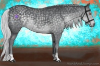 Horse Color:Silver Black Chinchilla