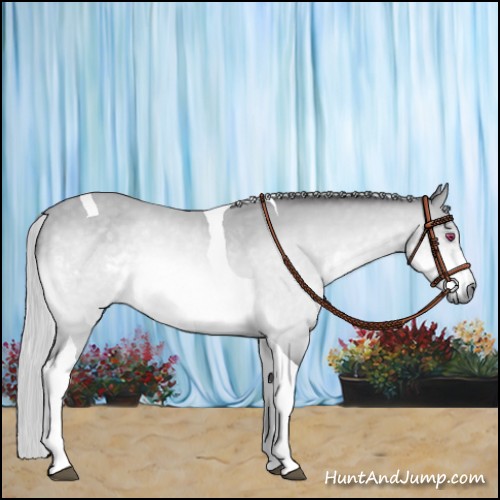 Horse Color:Silver Buckskin Chinchilla Tobiano 