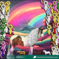 Horse Color:Gray Brown Splash Tobiano Rabicano